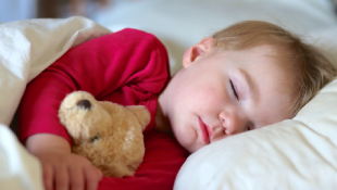 Всегда свежий воздух